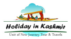 Holiday in Kashmir